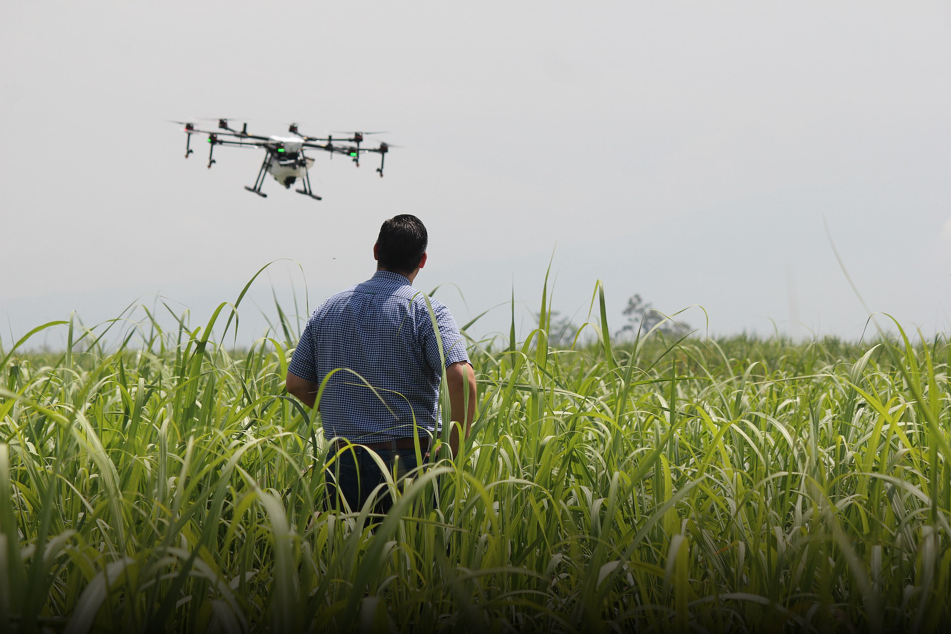 DJI Precision Spraying Solutions